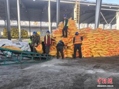 钢铁动脉保春耕：哈尔滨铁路双线发力 化肥农资直达黑土地与全国